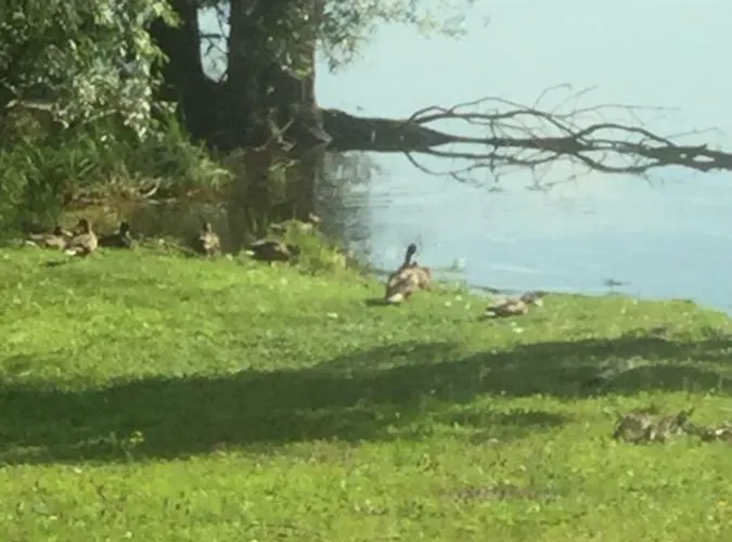 Casa Laura Apartament Dormelletto